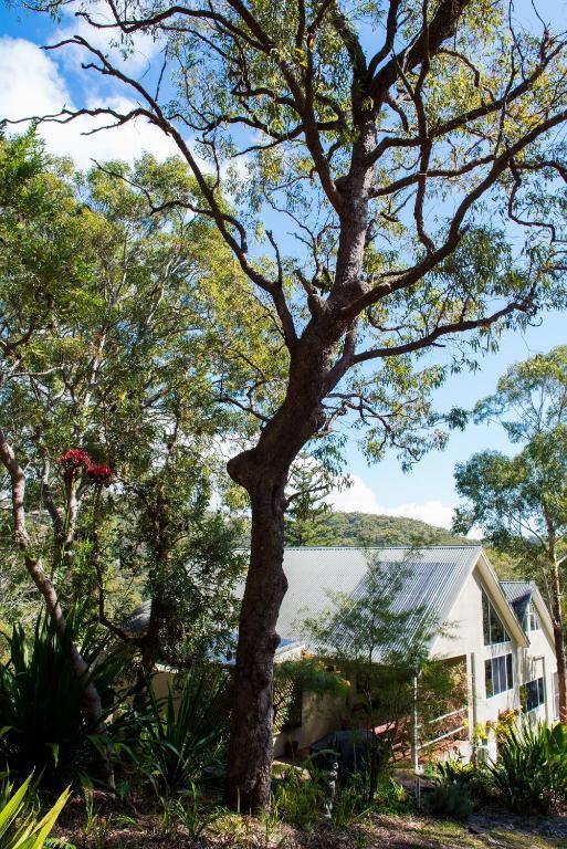 Nelson Bay Bed & Breakfast Екстериор снимка