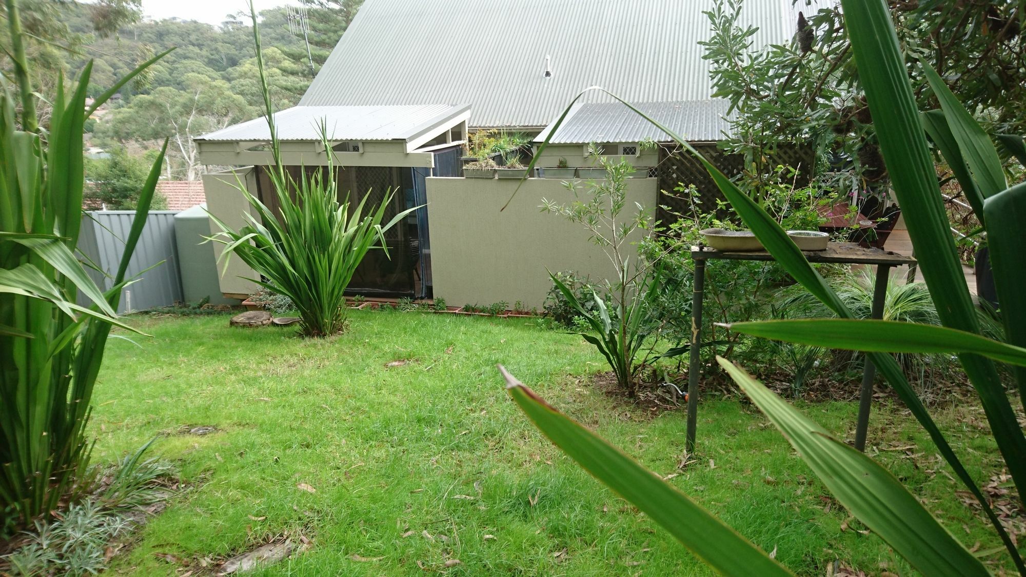 Nelson Bay Bed & Breakfast Екстериор снимка