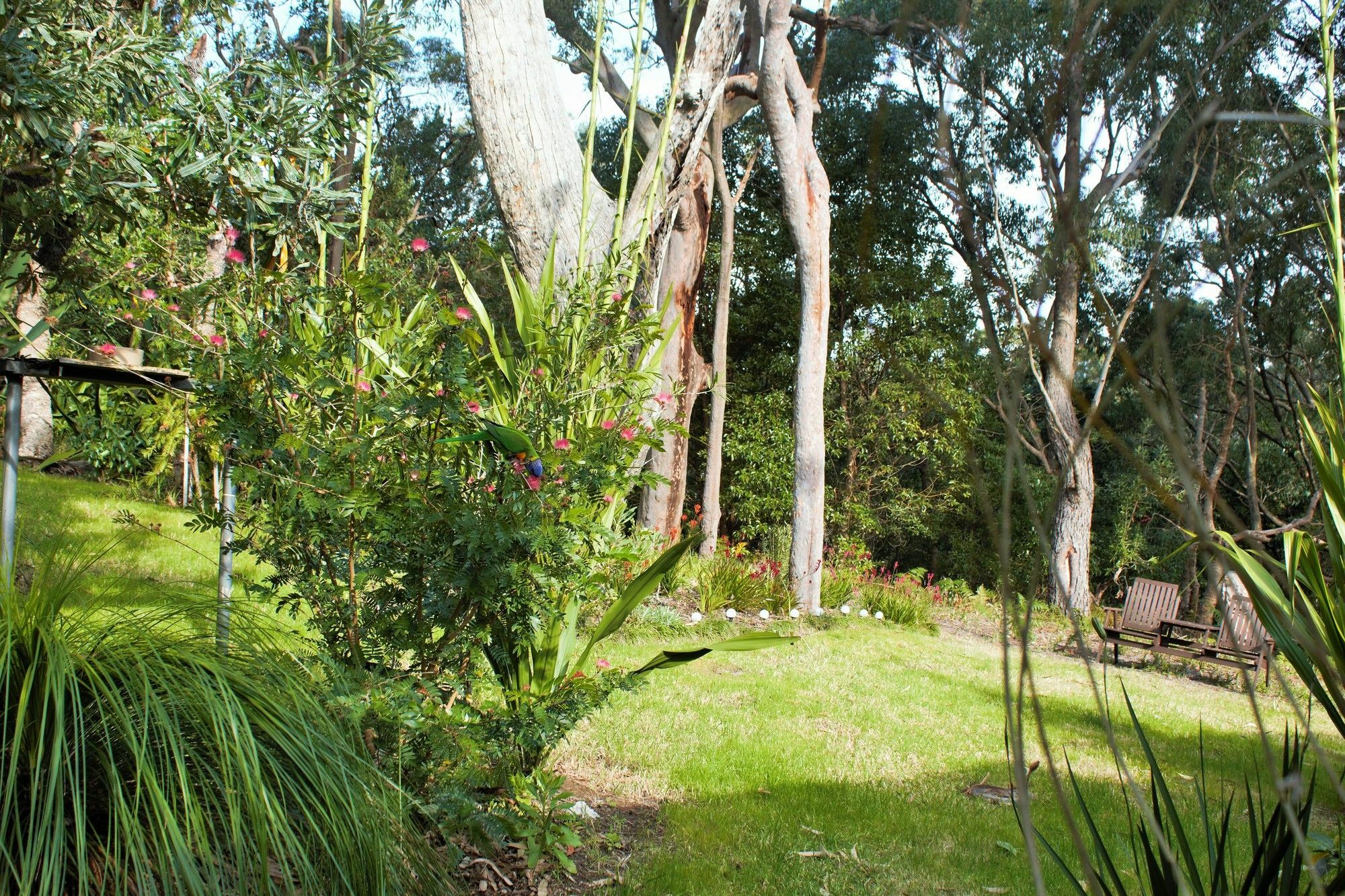Nelson Bay Bed & Breakfast Екстериор снимка