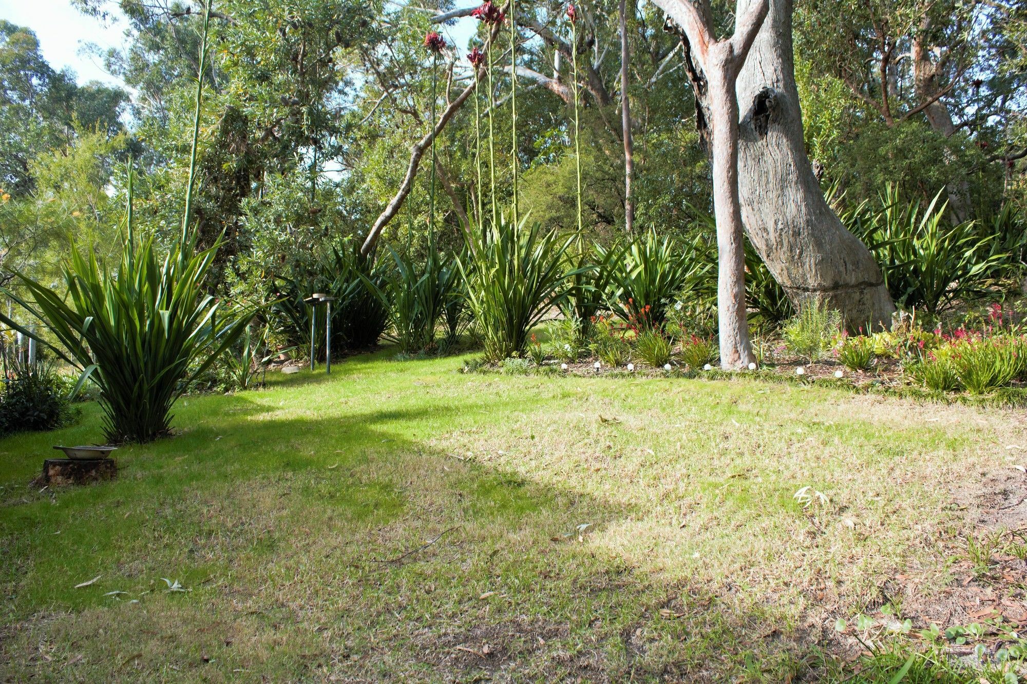 Nelson Bay Bed & Breakfast Екстериор снимка
